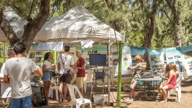 Animation pédagogique