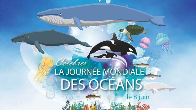 Journée Mondiale des Océans