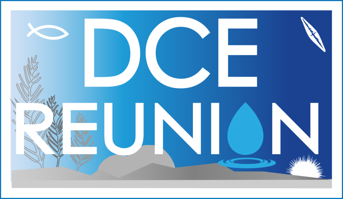 Logo DCE REUNION