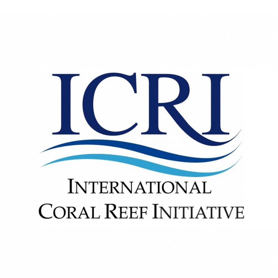 Logo ICRI