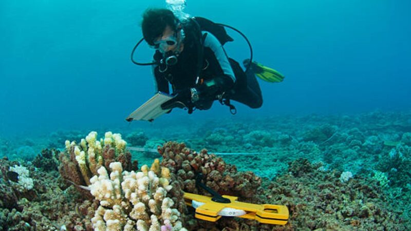 Formations ponctuelles