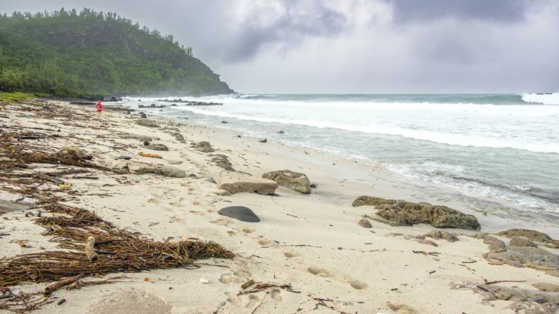 Grande Anse: notre avis en ligne