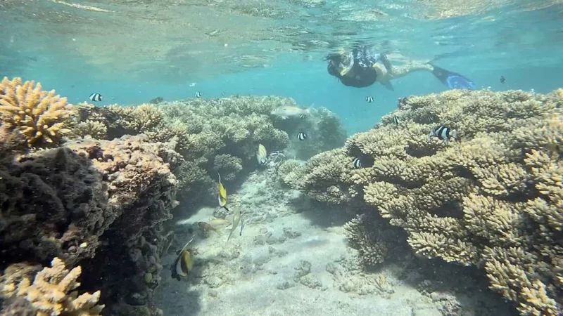Une belle rencontre sur le terrain entre anciens et nouveaux membres