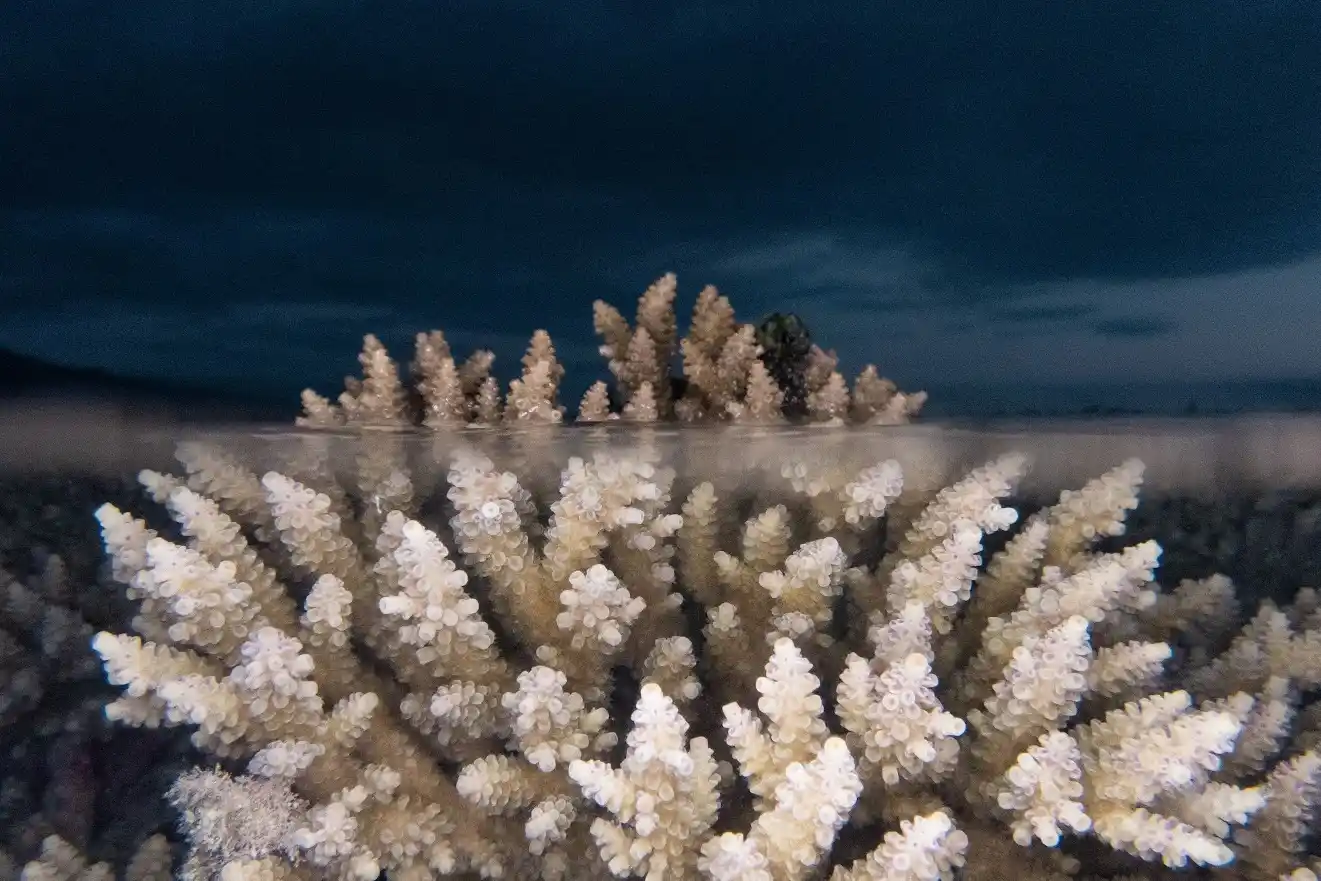 You are currently viewing Une Vie Océane!