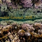 Assemblée Générale de Vie Océane !