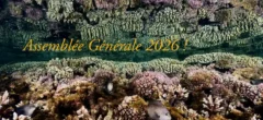 Assemblée Générale de Vie Océane !