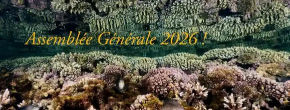 Assemblée Générale de Vie Océane !