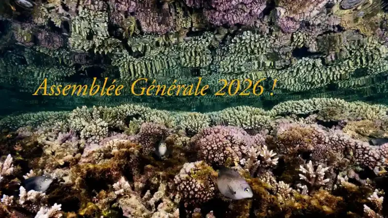 Assemblée Générale de Vie Océane !