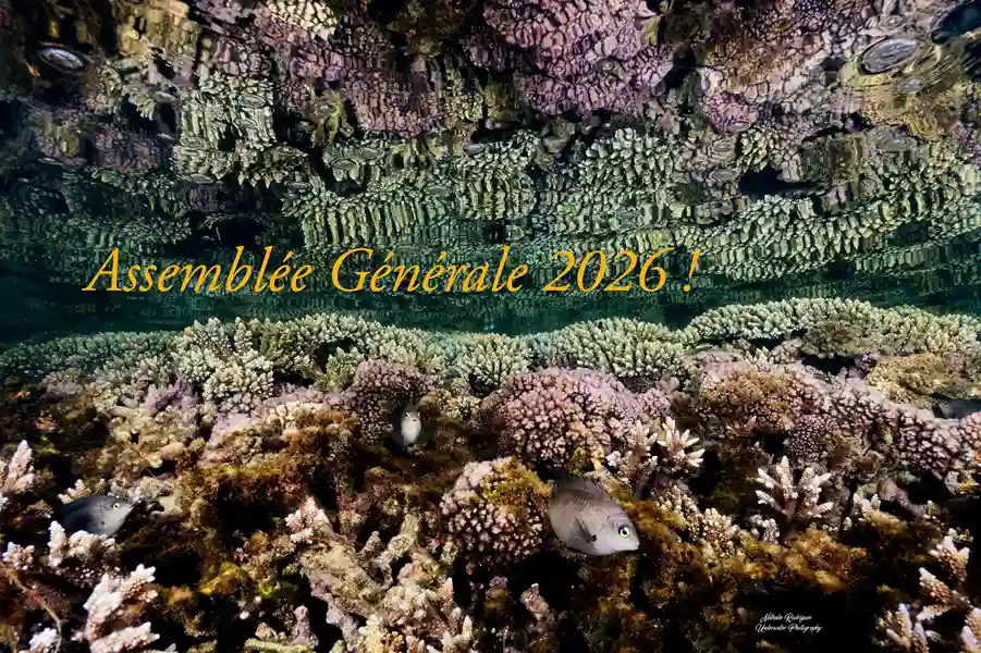 You are currently viewing Assemblée Générale de Vie Océane !