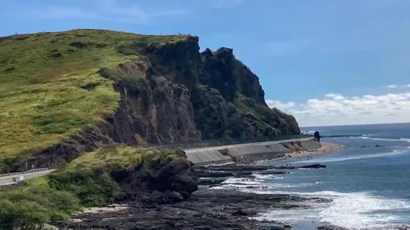 Sortie Vie Océane – découverte géologique du littoral de Cap La Houssaye – Samedi 28 mars 2026