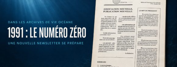 1991-2026 : la newsletter de Vie Océane refait surface