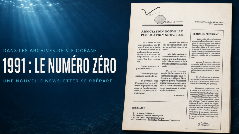 1991-2026 : la newsletter de Vie Océane refait surface