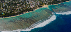 Appel de Vie Océane aux responsables politiques de La Réunion