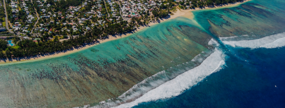 Appel de Vie Océane aux responsables politiques de La Réunion