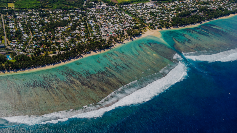 Appel de Vie Océane aux responsables politiques de La Réunion