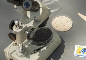 Microscope vie oceane recifs en fete